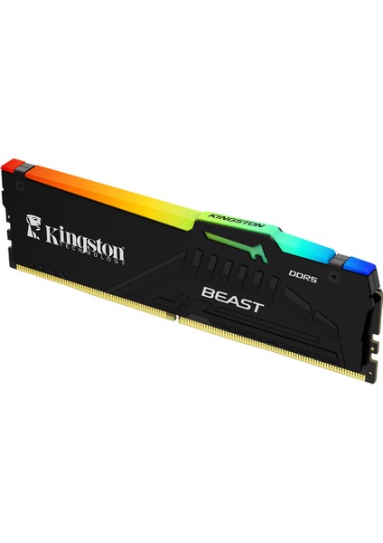 KINGSTON Kingston Beast RGB Expo 32GB DDR5 6400MHz CL32 Masaüstü Performans Ram-46918