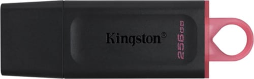 KINGSTON KINGSTN 256GB USB3.2 DataTrvEx DTX/256GB