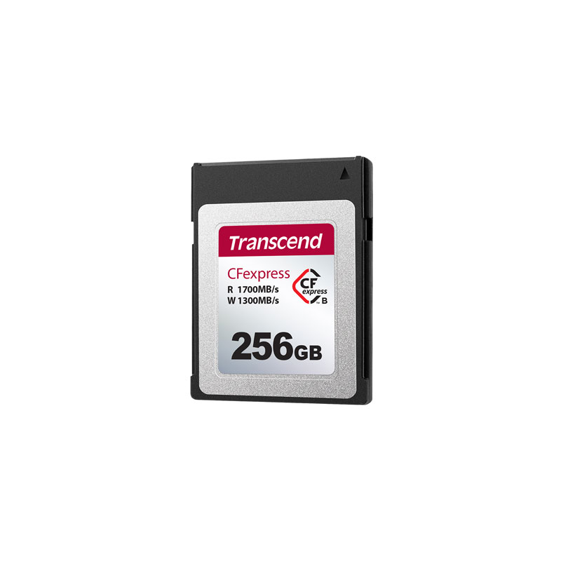 TRANSCEND Transcend 256GB CFE820 CFexpress Hafıza Kartı