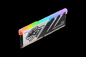 APACER Apacer Panther RGB 32GB (2x16GB) 5200MHz CL38 DDR5 Gaming Ram (AH5U32G52C5229BAA-2)