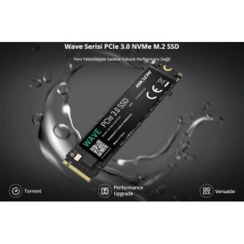 HIKSEMI HIKSEMI HS-SSD-WAVE(P) 1024G, 2450-2450Mb/s, Gen3, NVMe PCIe M.2 2280, 3D NAND, SSD (By Hikvision)-69781