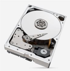 SEAGATE NAS 10TB IRONWOLF USB 3.2 Dahili Sabit Disk-27149