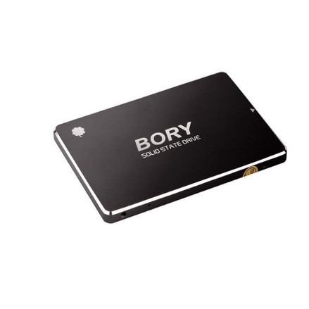 BORY 256 GB BORY SATA3 R500-C256G SSD 550/510 MBS (3 YIL GARANT�L�) -63563