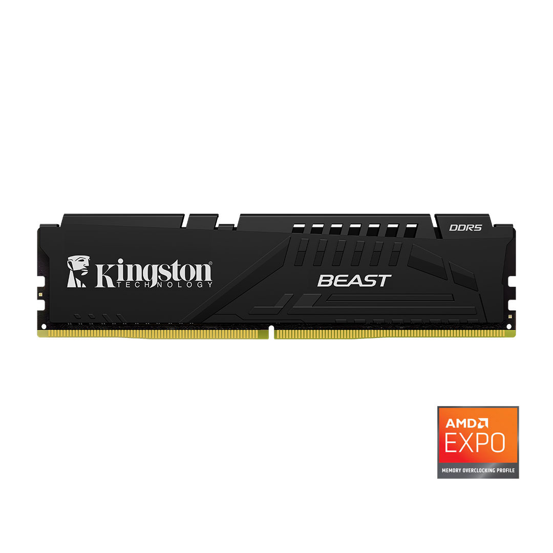 KINGSTON Kingston Beast 32GB DDR5 5600MHz CL36 PC Bellek (KF556C36BBE/32TR)