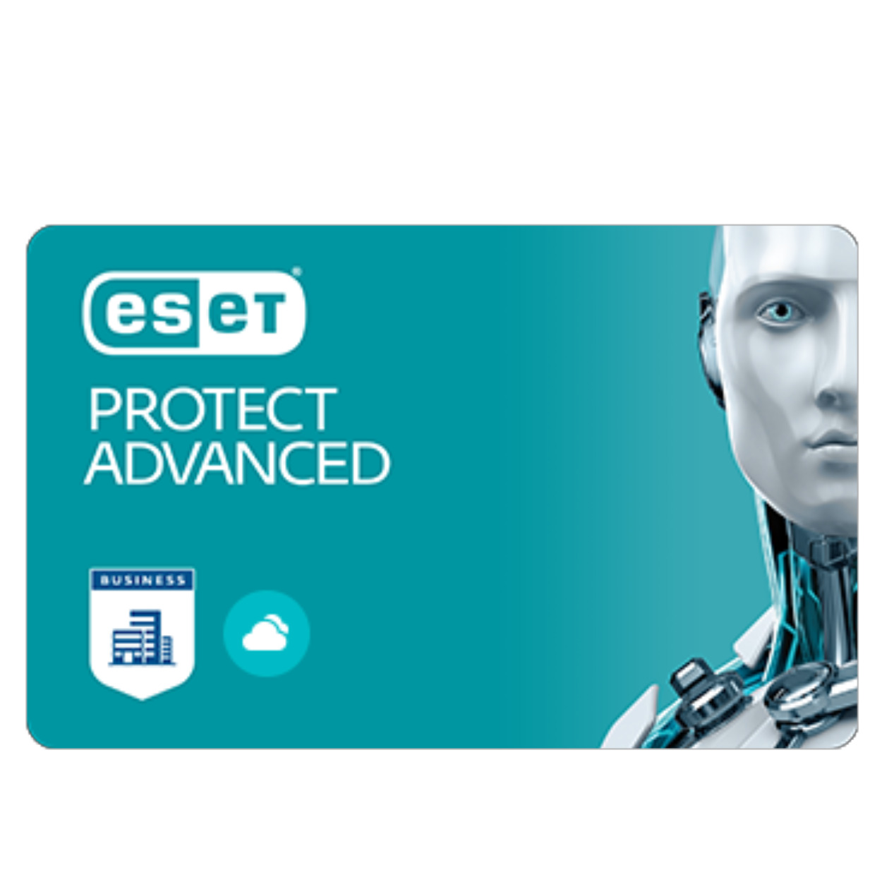 ESET ESET PROTECT ADVANCED 1+10 Client 3 Yıl