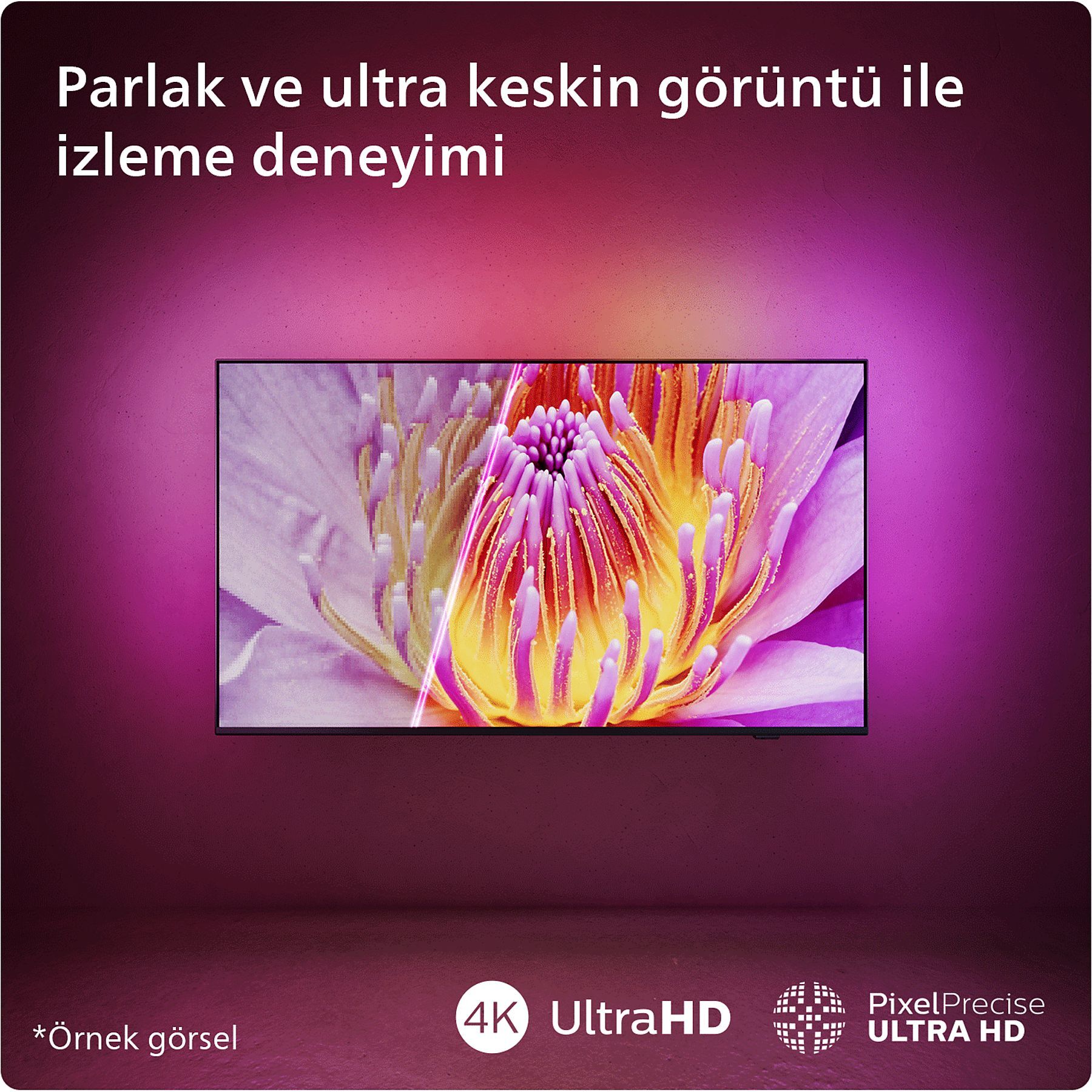 PHILIPS PHILIPS PHILIPS 65PUS8609 4K ULTRA HD 65" 165 SMART LED TV-62051