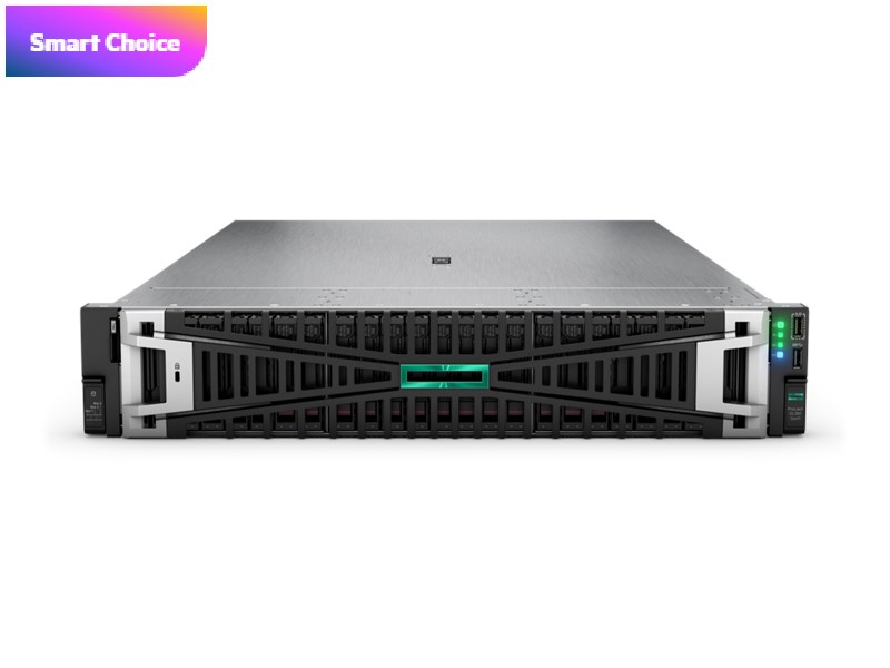 HPE HPE DL380 Gen11 4510-64GB-2x960GB SSD-2U (P52534)