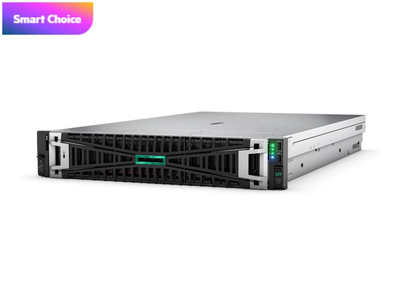 HPE HPE DL380 Gen11 4510-64GB-2x960GB SSD-2U (P52534)-46788