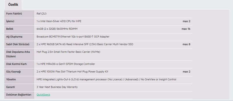 HPE HPE DL380 Gen11 4510-64GB-2x960GB SSD-2U (P52534)-46789