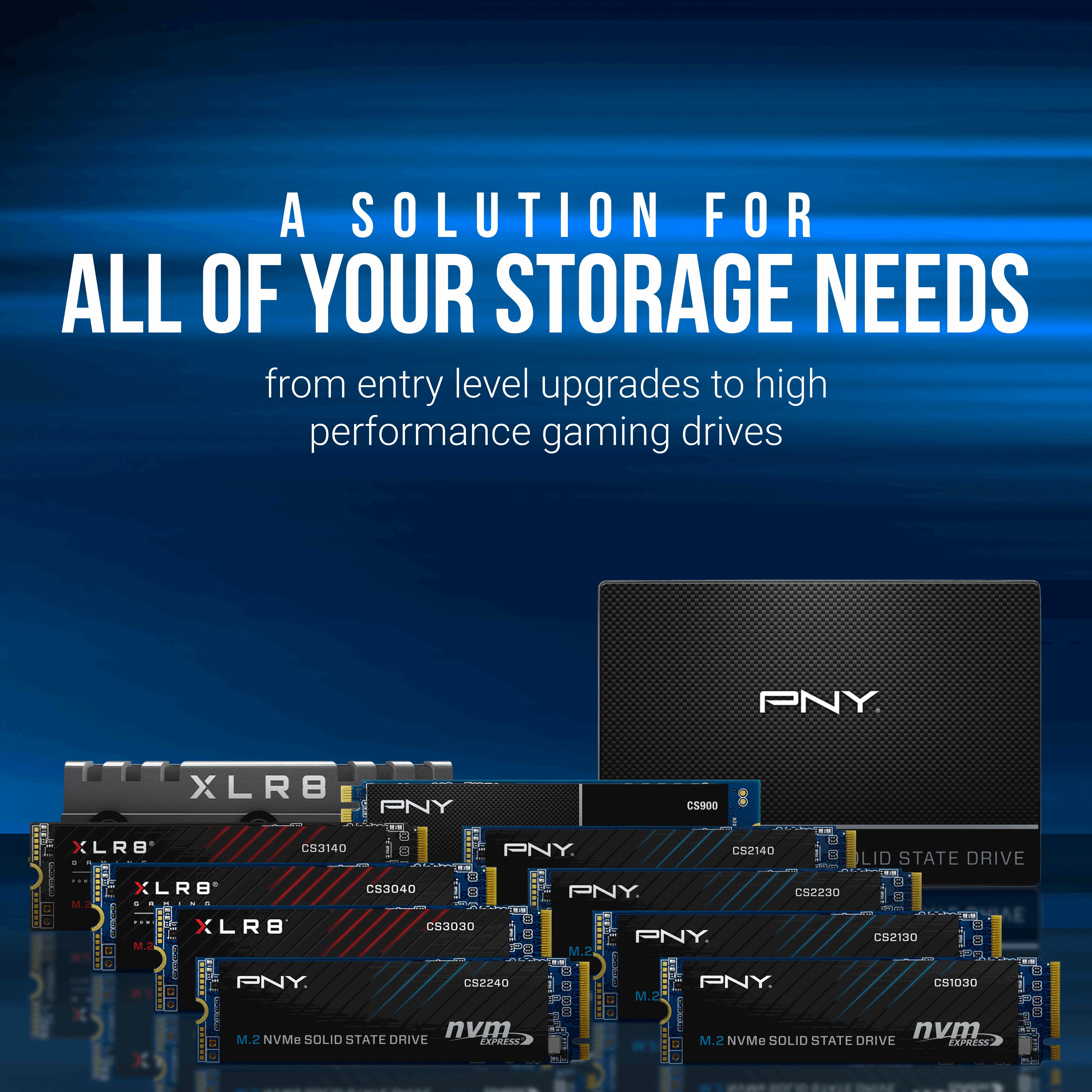 PNY PNY CS2230 1 TB 3300/2600 NVMe PCIe M.2 SSD (M280CS2230-1TB-RB)