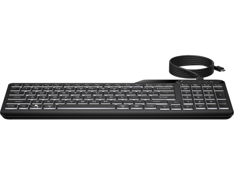 HP HP 405 Aydınlatmalı Kablolu Türkçe Klavye - Siyah-47715