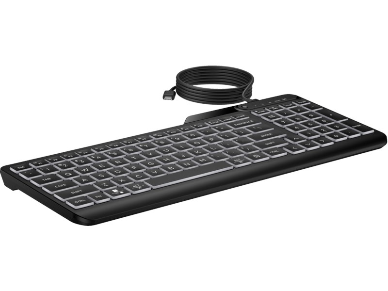 HP HP 405 Aydınlatmalı Kablolu Türkçe Klavye - Siyah-47716