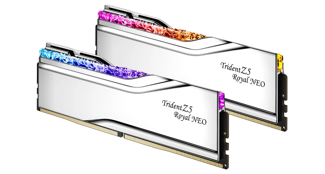 GSKILL GSKILL TZ5 Royal Neo Silver RGB DDR5-8000Mhz CL38 32GB (2X16GB) DUAL (38-48-48-128) 1.40V AMD EXPO-62158