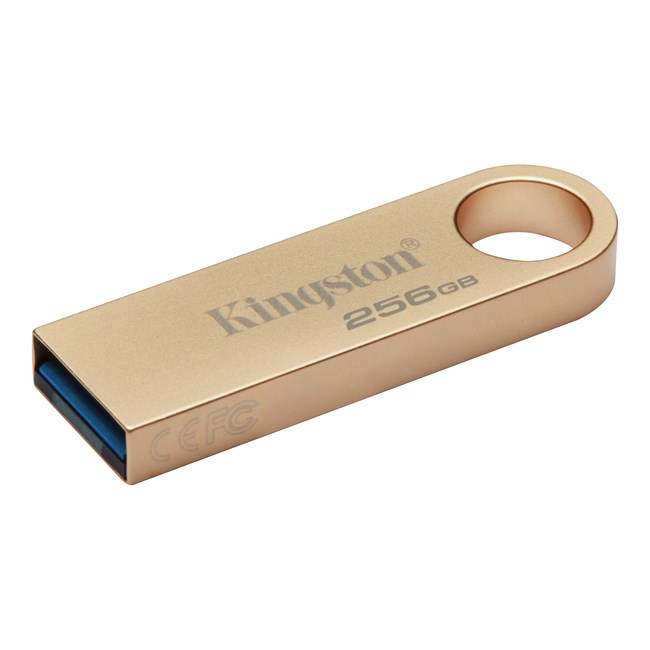KINGSTON Kingston 256GB Usb3.2 Gen1 DTSE9G3/256GB-38292