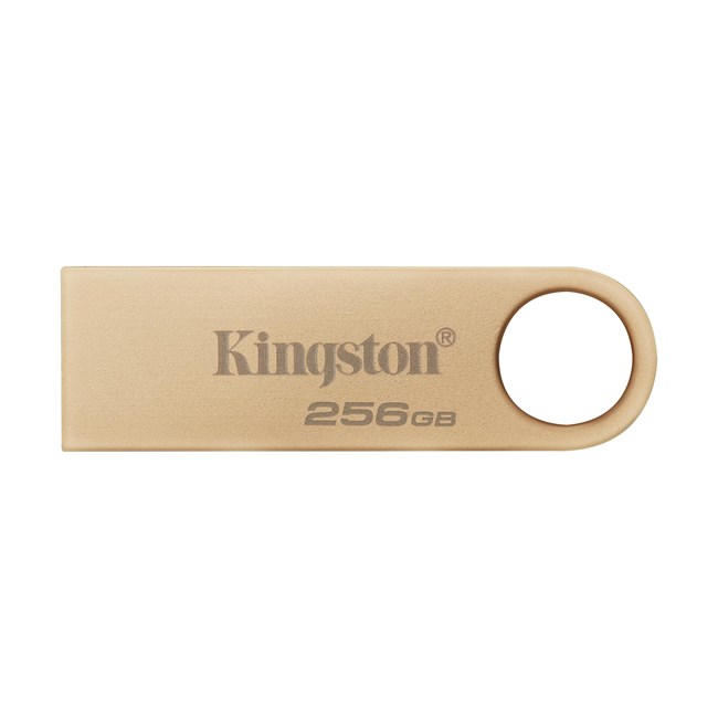 KINGSTON Kingston 256GB Usb3.2 Gen1 DTSE9G3/256GB-38293