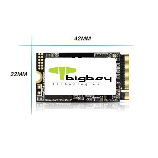 BIGBOY Bigboy 1TB 22x42mm PCIe 3.0 x4 M.2 NVMe Notebook SSD-63903