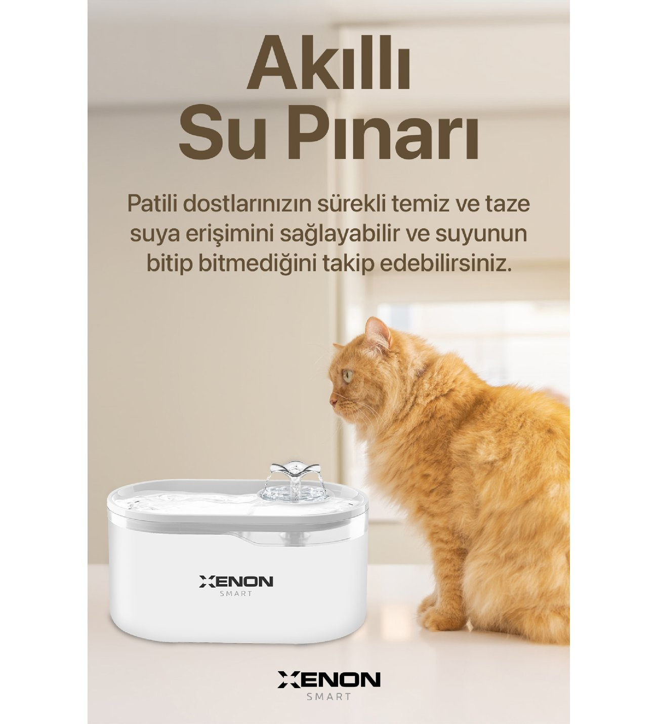 XENON SMART XENON SMART WIFI DESTEKLI KEDI SU PINARI X8650_M1-59781