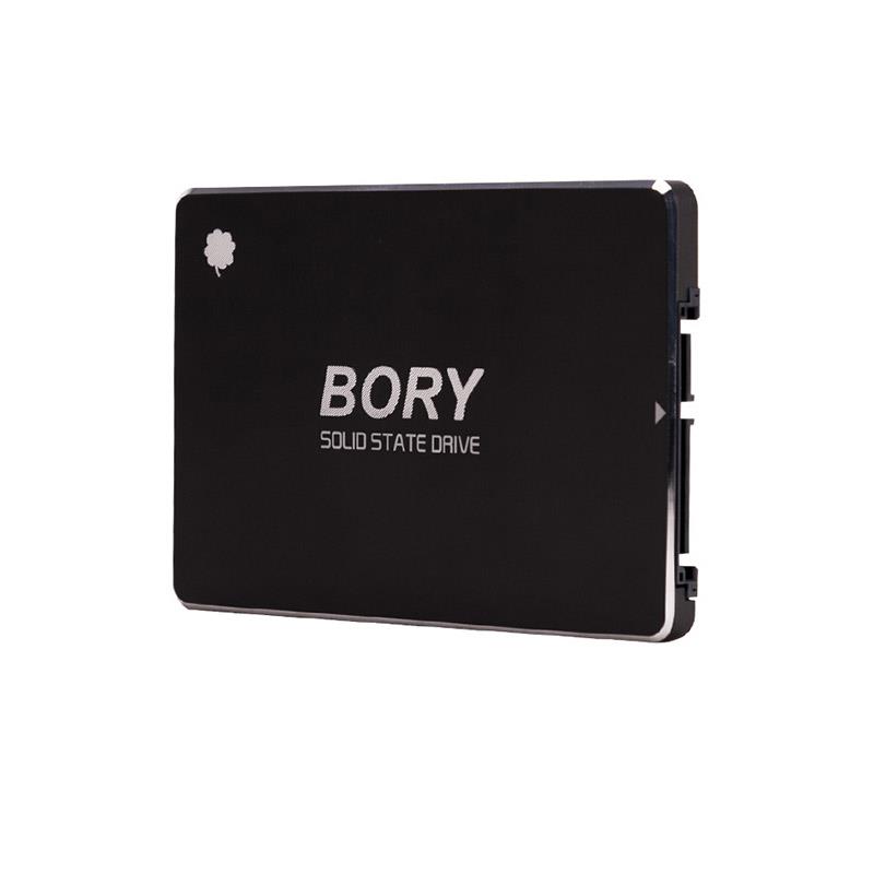 512 GB BORY SATA3 R500-C512G SSD 550/510 MBS (3 YIL GARANT�L�) 